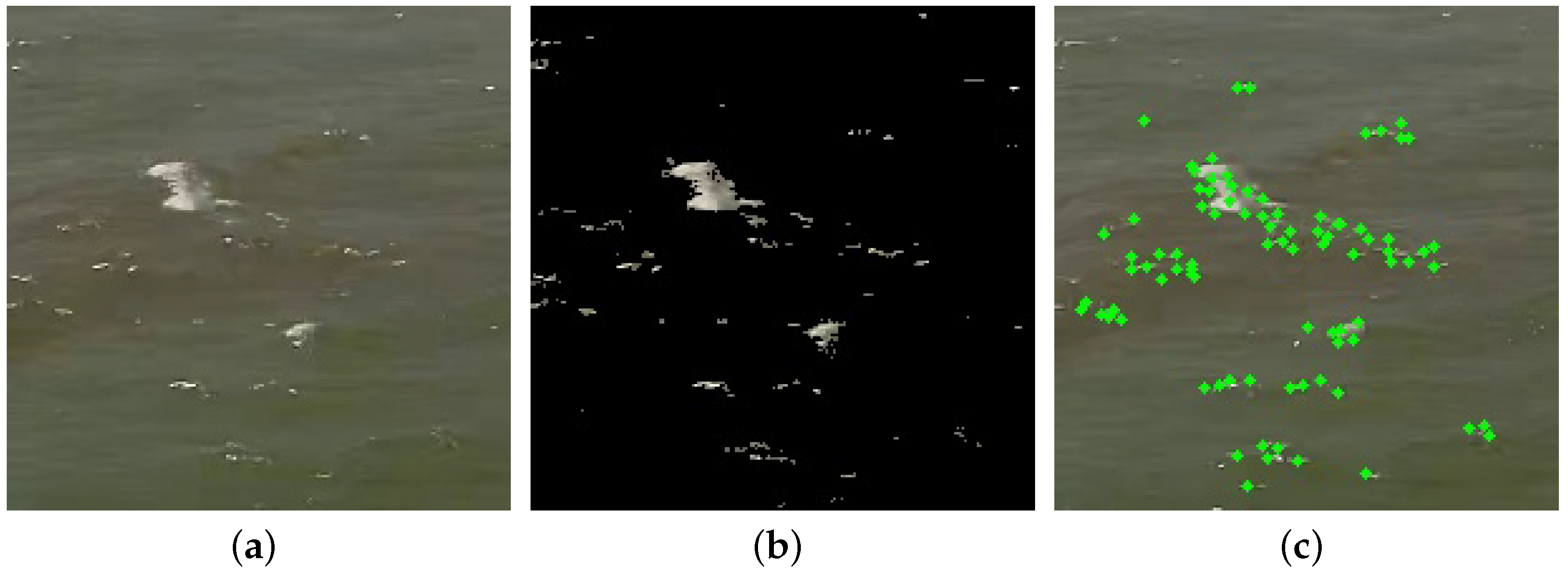 Remotesensing 14 05691 g007