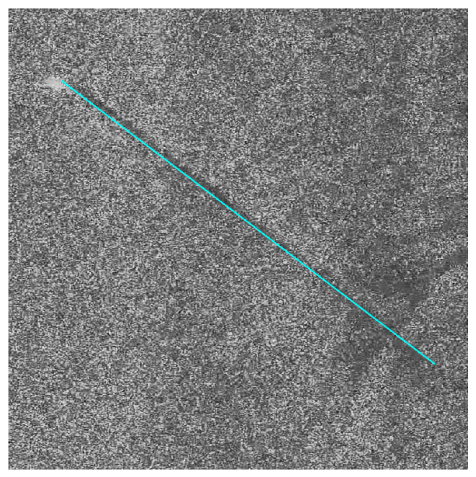 Remotesensing 14 05788 g011