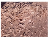 Remotesensing 14 05824 i002