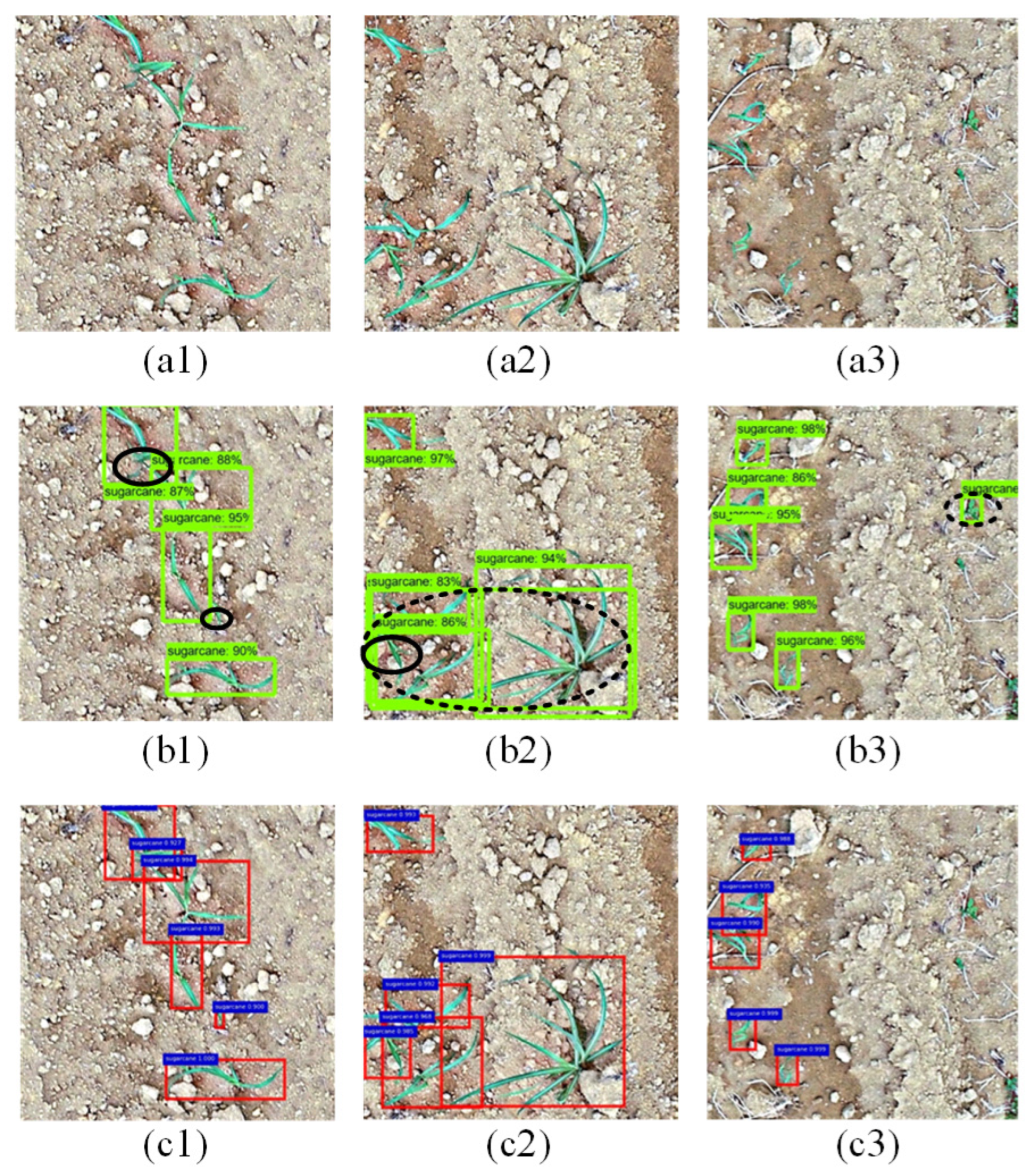 Remotesensing 14 05846 g009