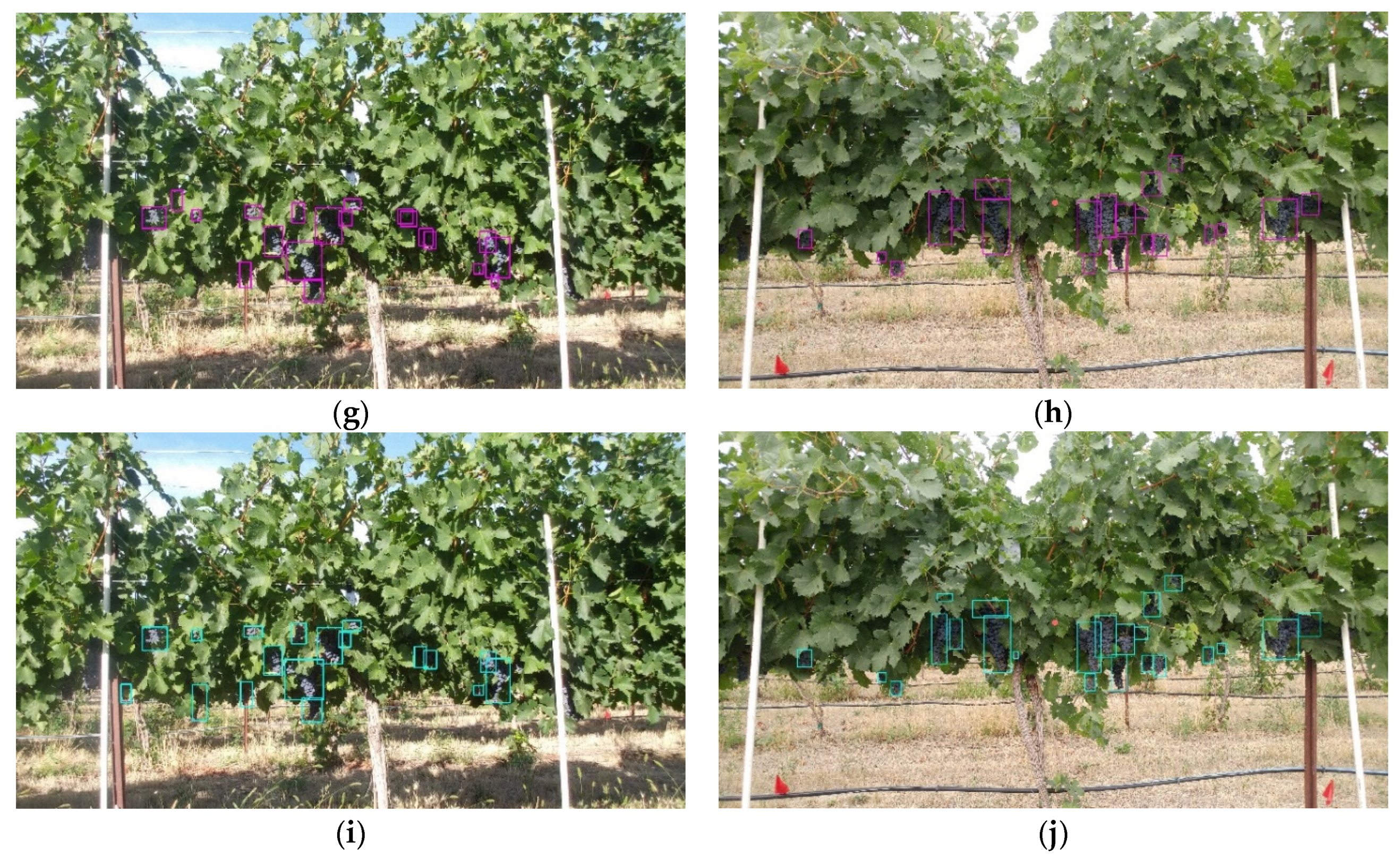 Remotesensing 14 05853 g0a2b