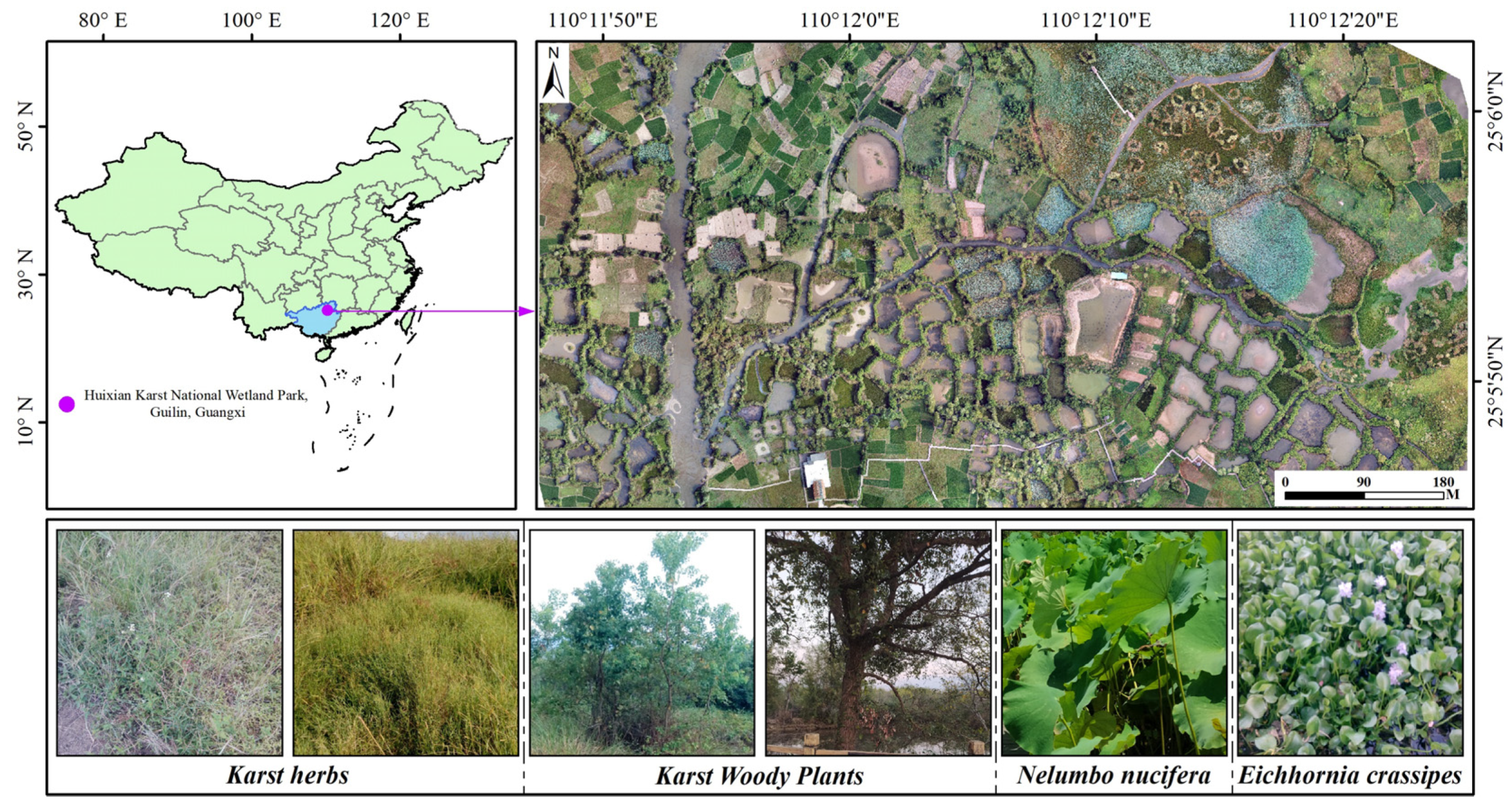 Remotesensing 14 05869 g001