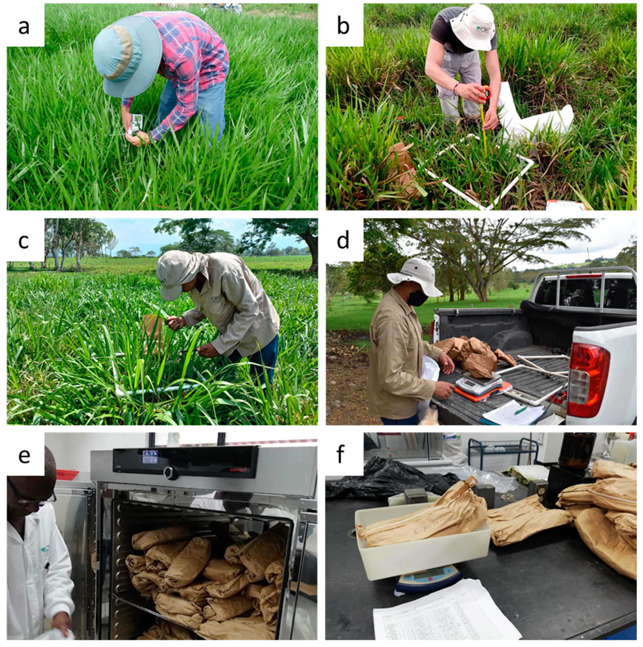 Remotesensing 14 05870 g002