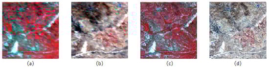 Remotesensing 14 05883 g010