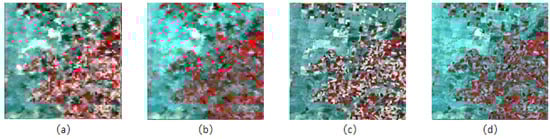 Remotesensing 14 05883 g011