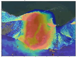 Remotesensing 14 06048 i005