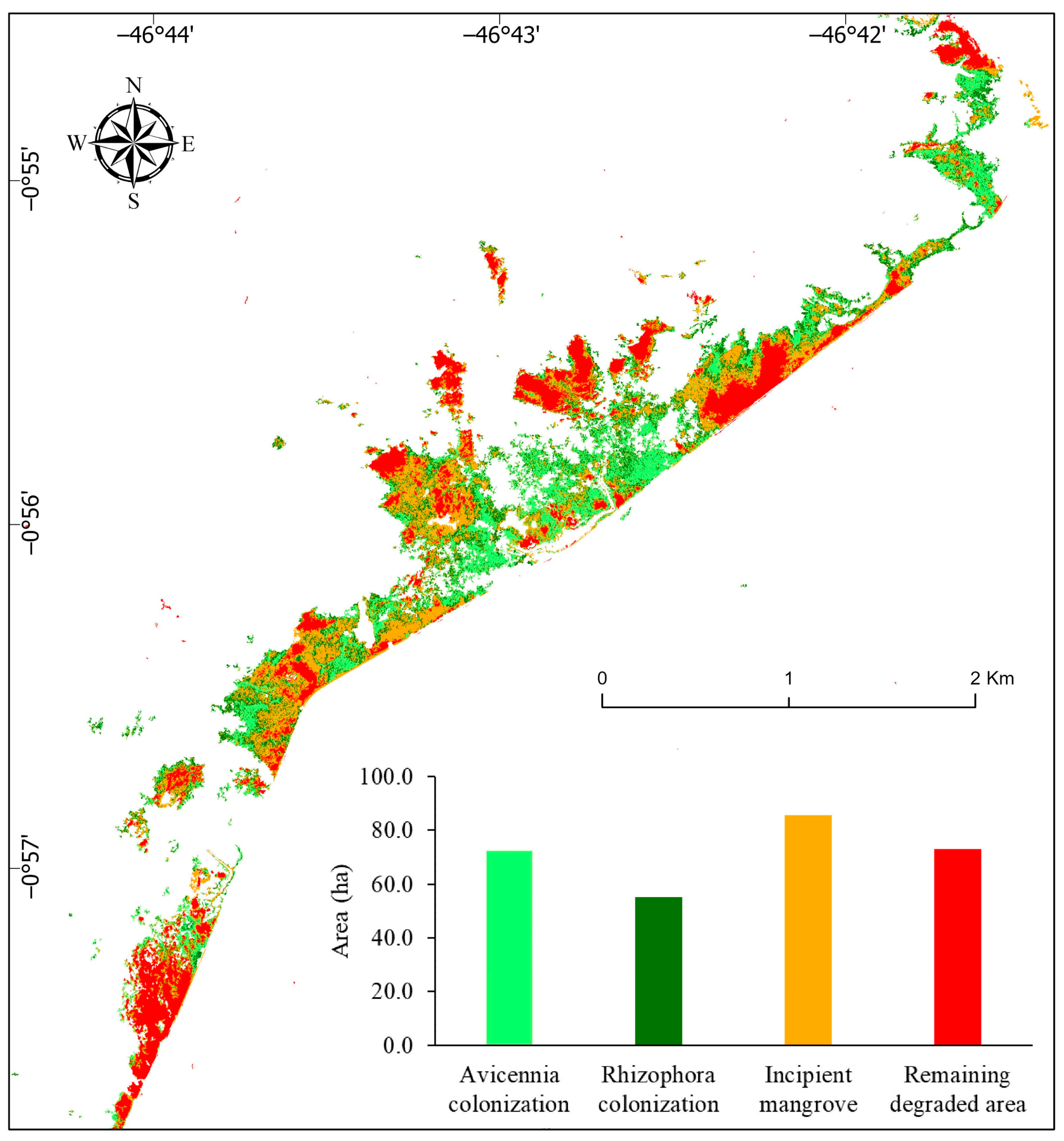 Remotesensing 14 06197 g011