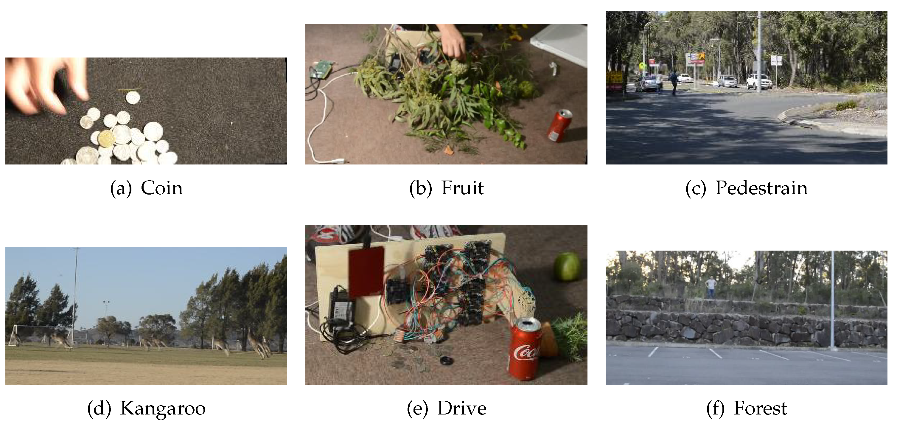 Remotesensing 14 06219 g010