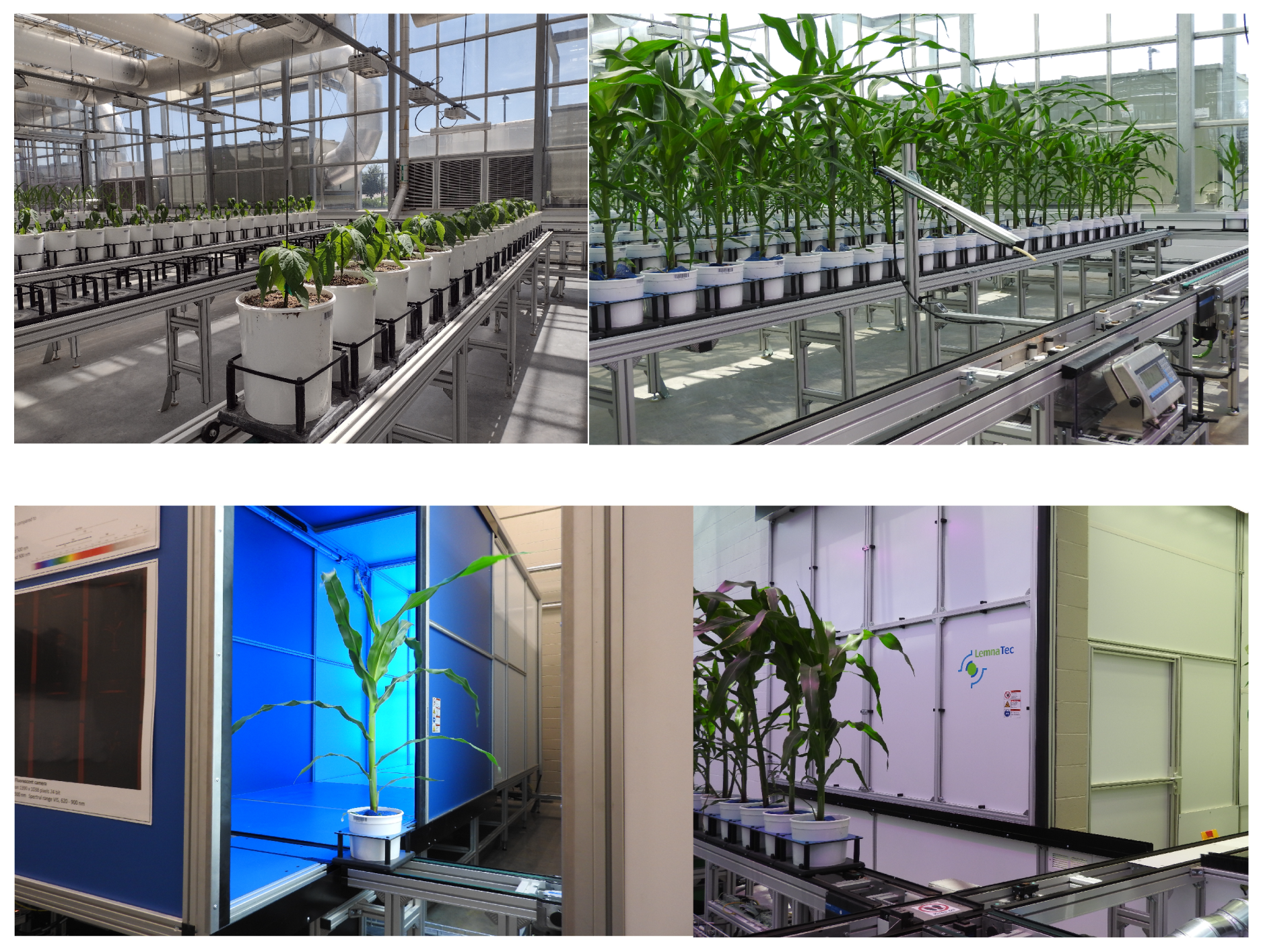 Remotesensing 14 06252 g001 Remotesensing 14 06252 g001