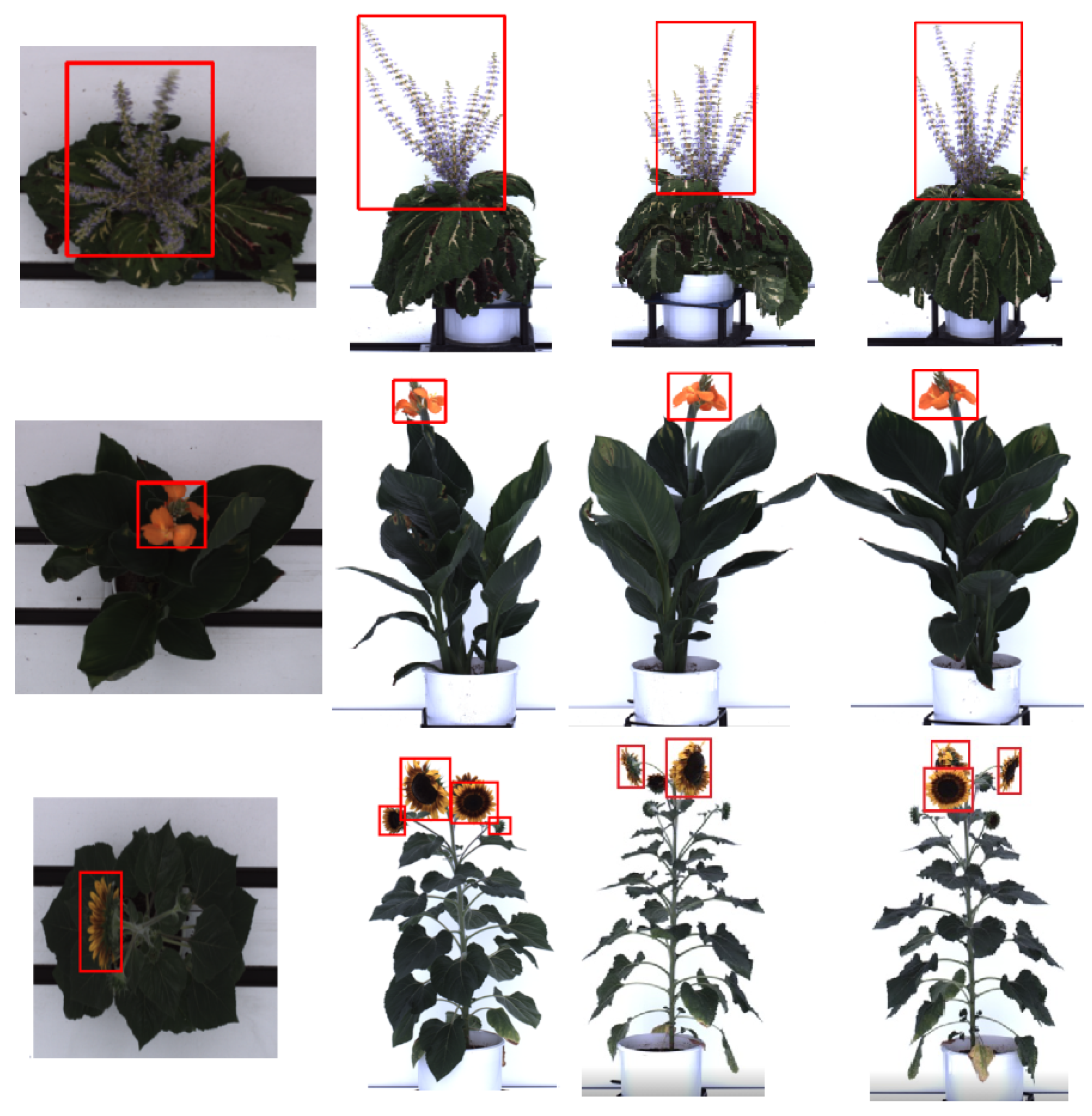 Remotesensing 14 06252 g003 Remotesensing 14 06252 g003