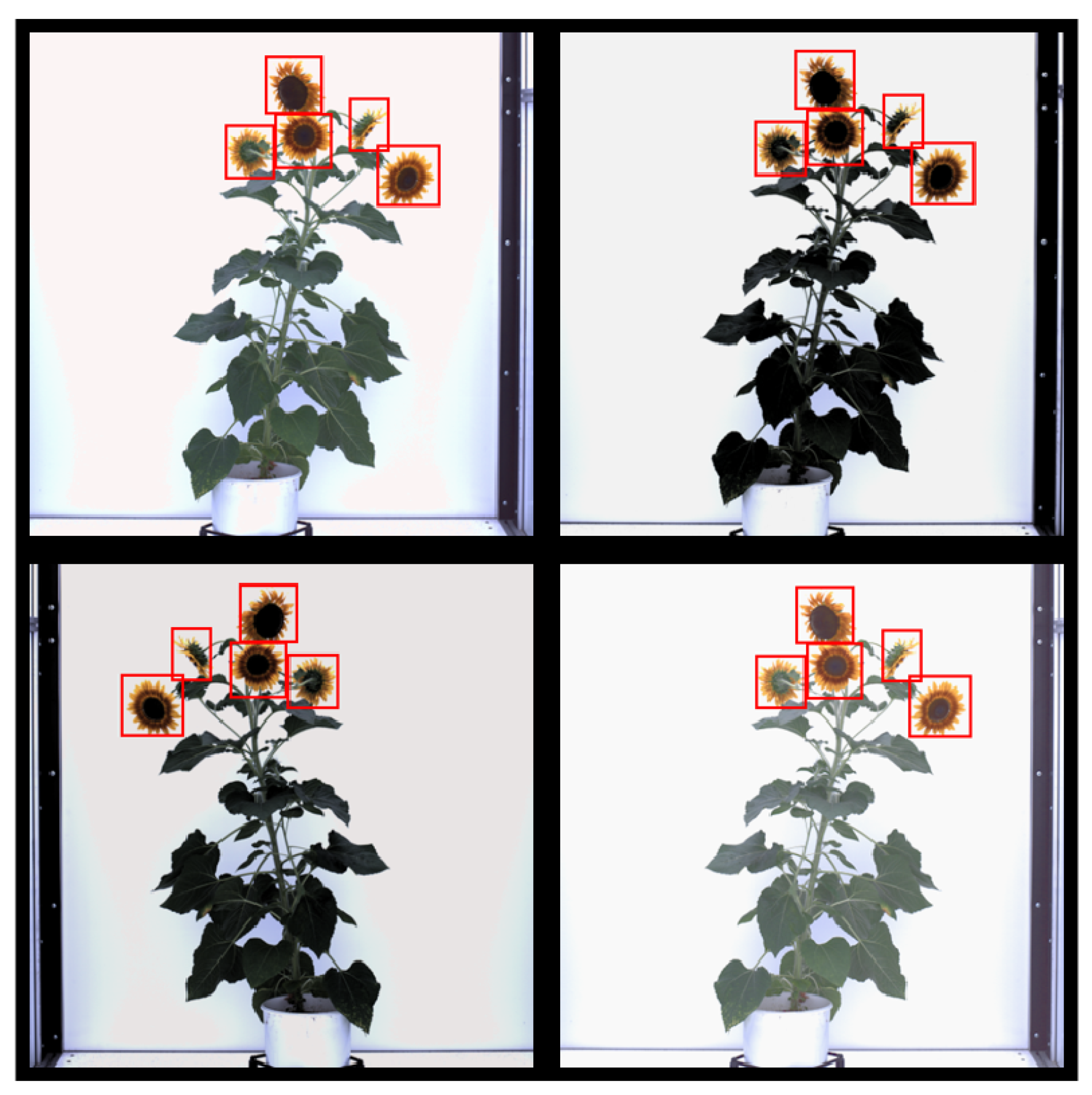 Remotesensing 14 06252 g004 Remotesensing 14 06252 g004