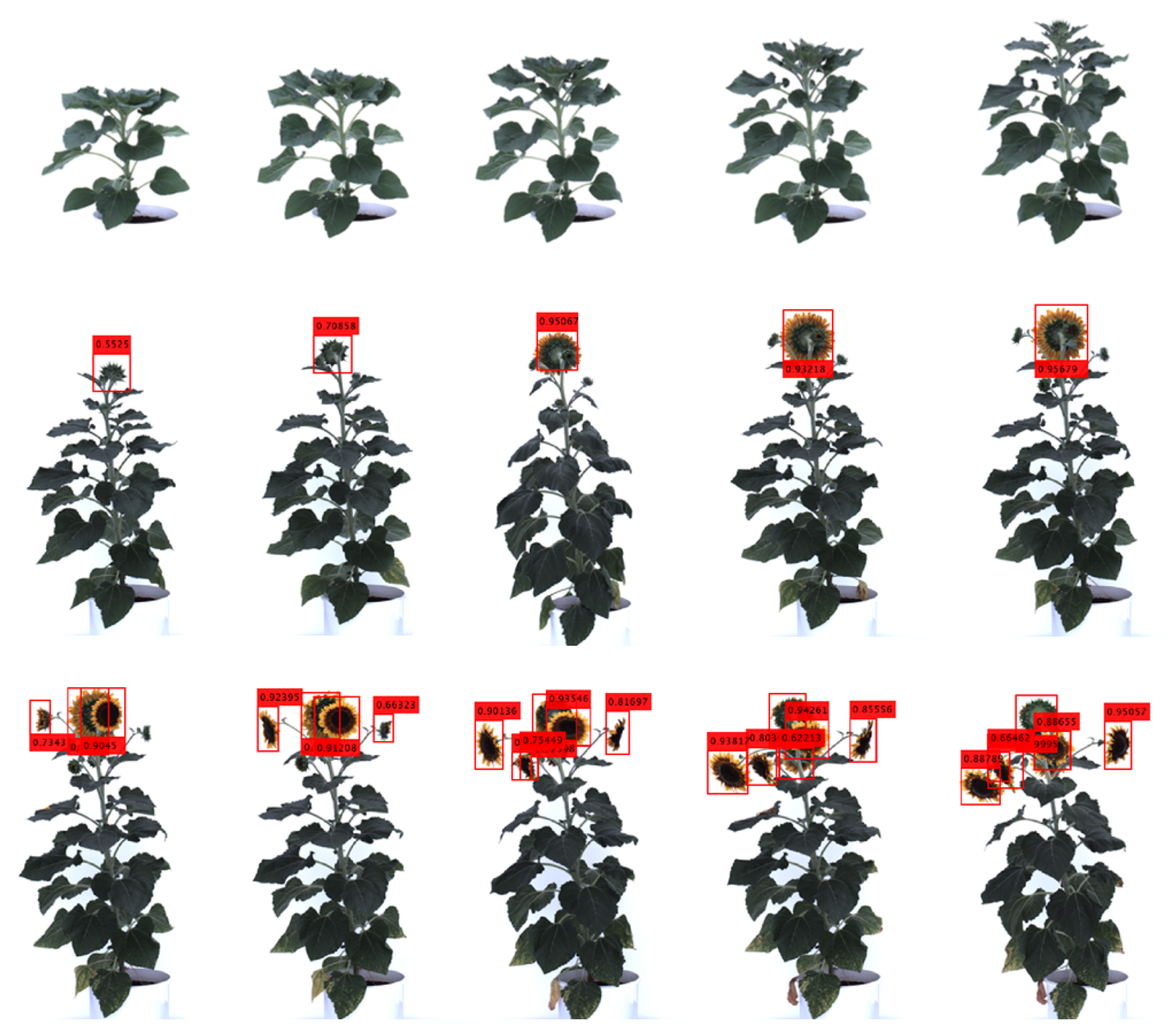 Remotesensing 14 06252 g006 Remotesensing 14 06252 g006