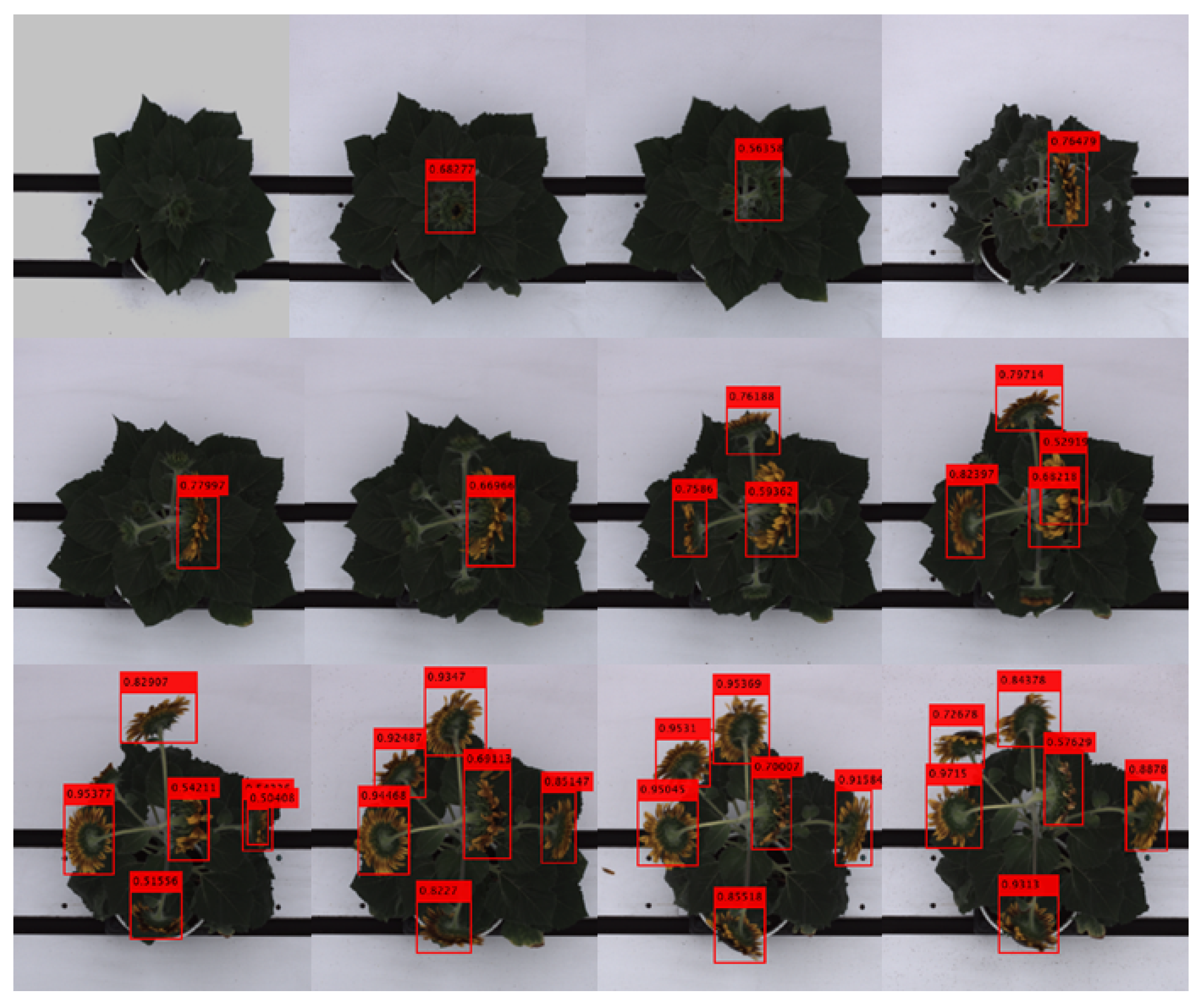 Remotesensing 14 06252 g007 Remotesensing 14 06252 g007