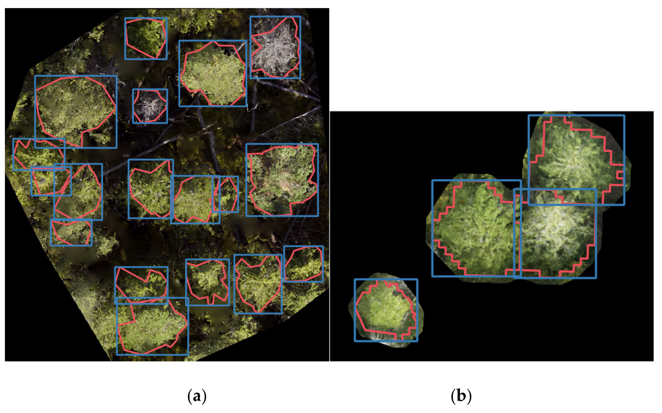 Remotesensing 14 06257 g003 Remotesensing 14 06257 g003