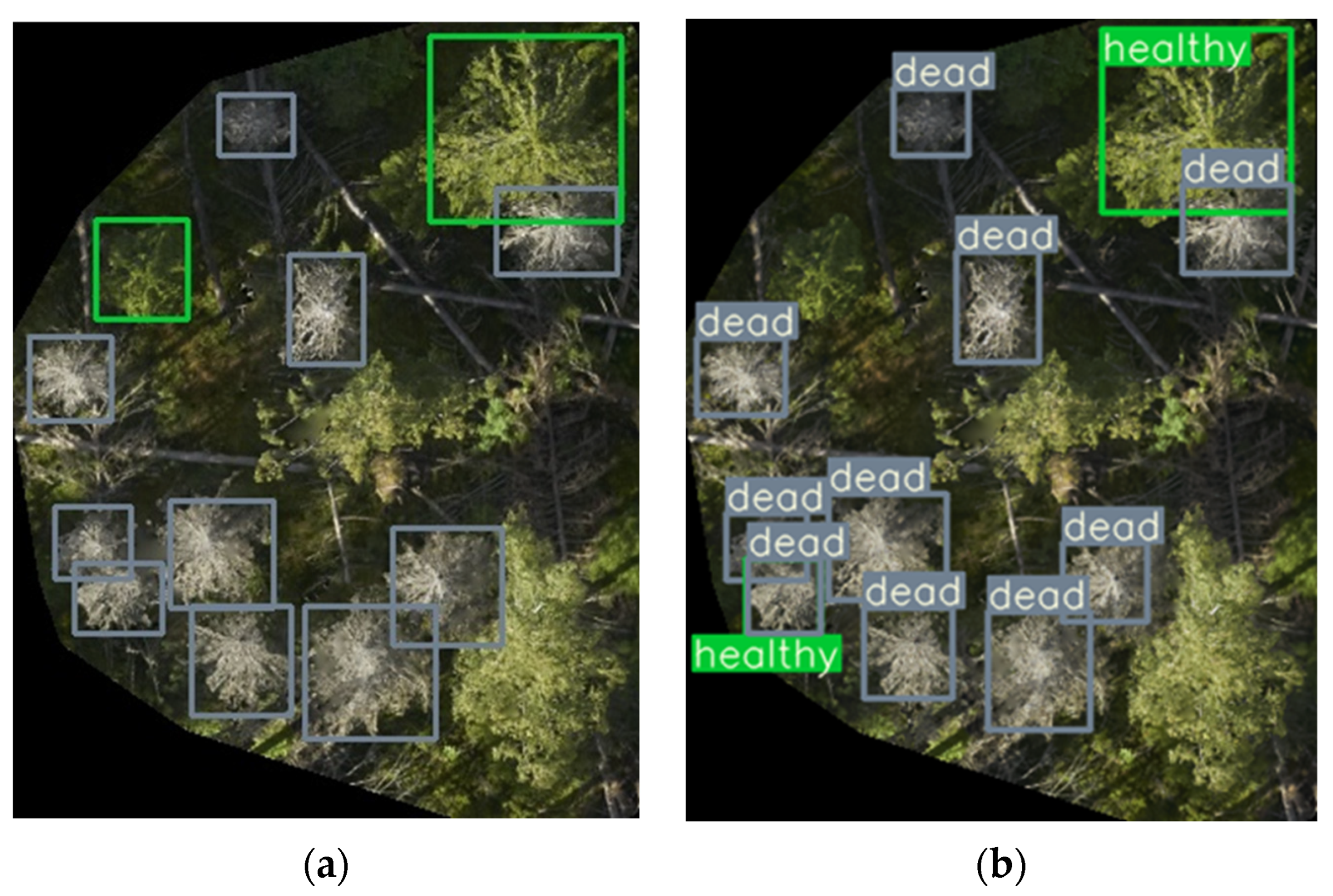Remotesensing 14 06257 g006 Remotesensing 14 06257 g006