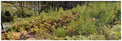 Remotesensing 14 06266 i003