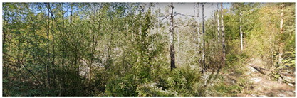 Remotesensing 14 06266 i008