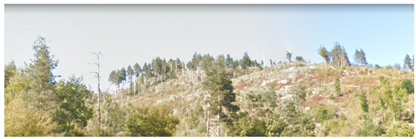 Remotesensing 14 06266 i009