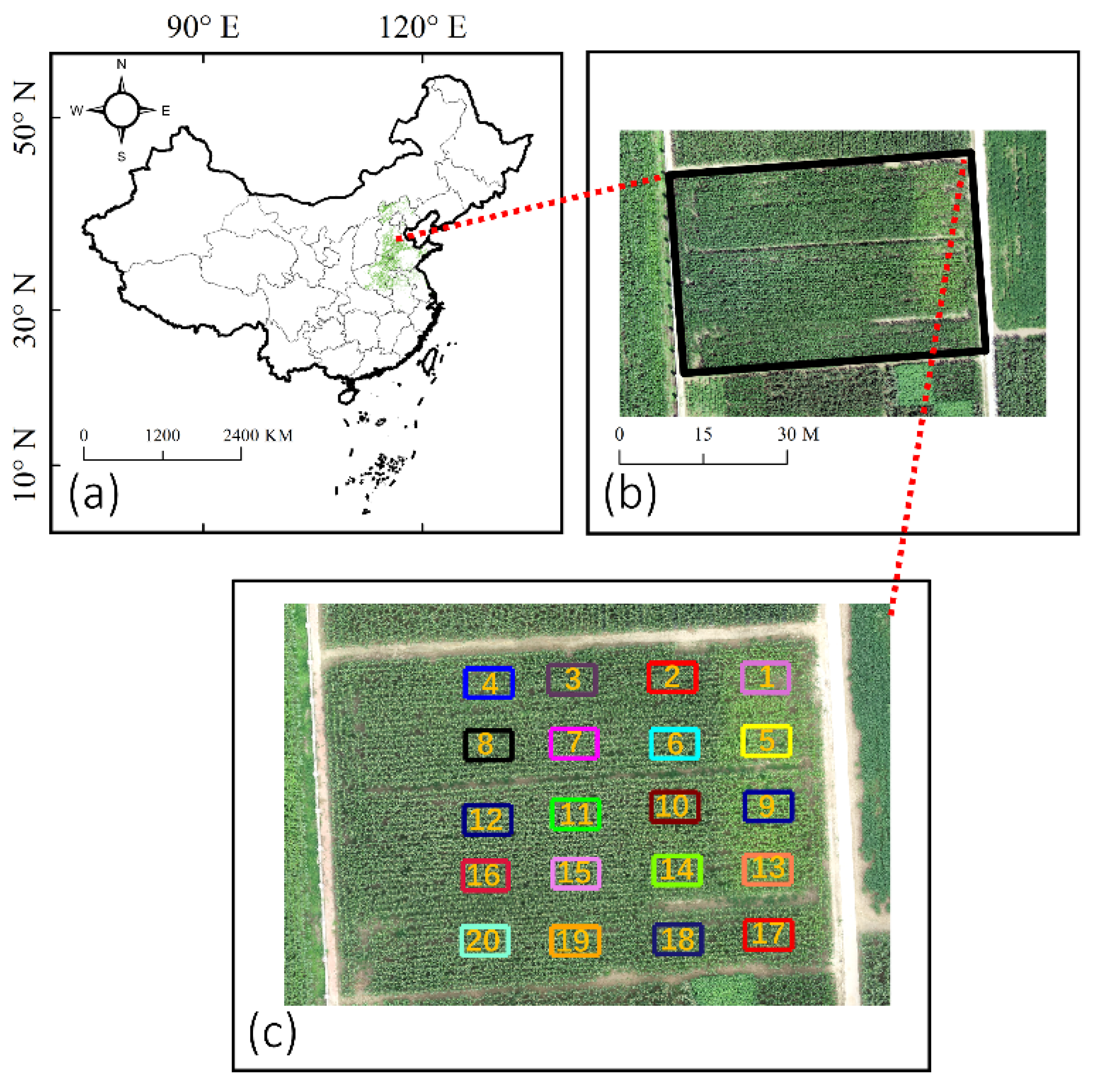 Remotesensing 14 06290 g001 Remotesensing 14 06290 g001