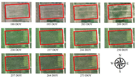 Remotesensing 14 06290 g0a1 Remotesensing 14 06290 g0a1