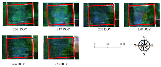 Remotesensing 14 06290 g0a2 Remotesensing 14 06290 g0a2