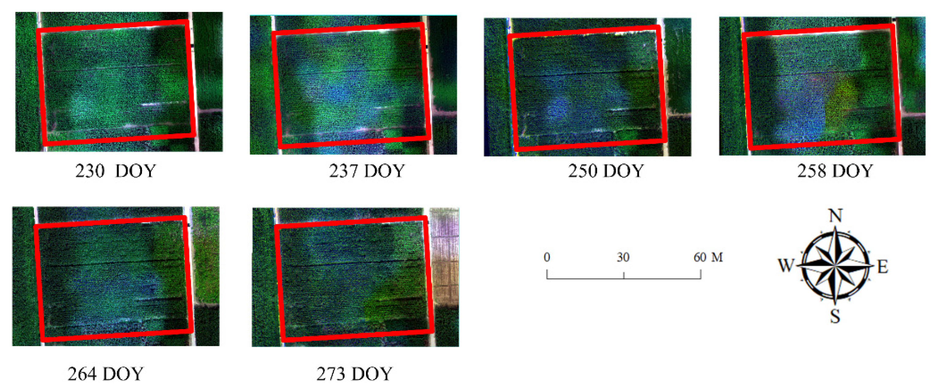 Remotesensing 14 06290 g0a2 Remotesensing 14 06290 g0a2