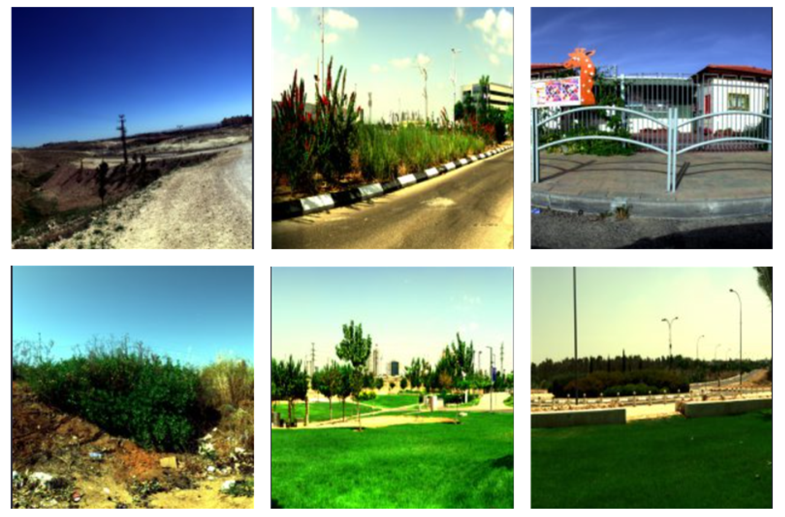 Remotesensing 14 06308 g006