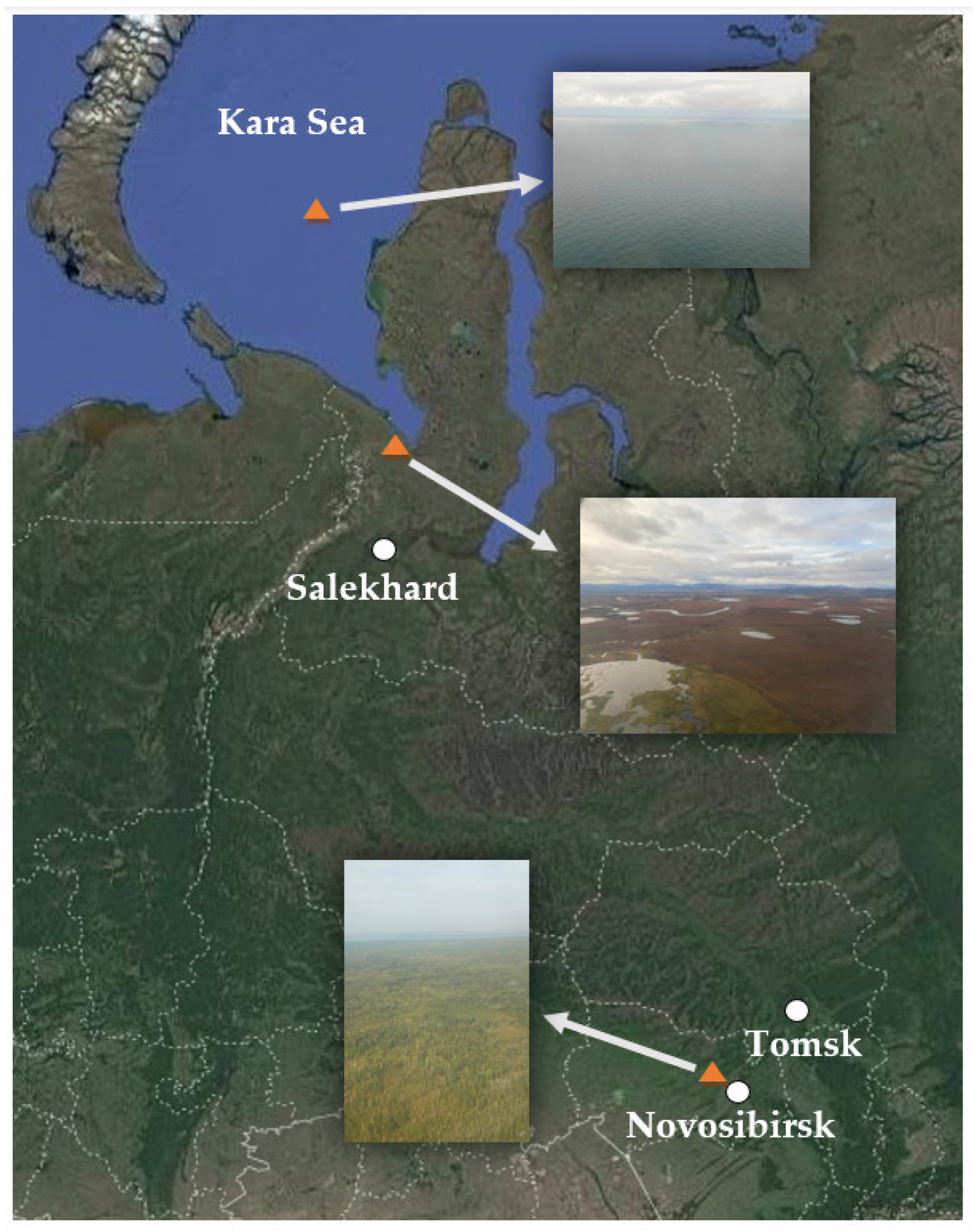 Remotesensing 14 06355 g016