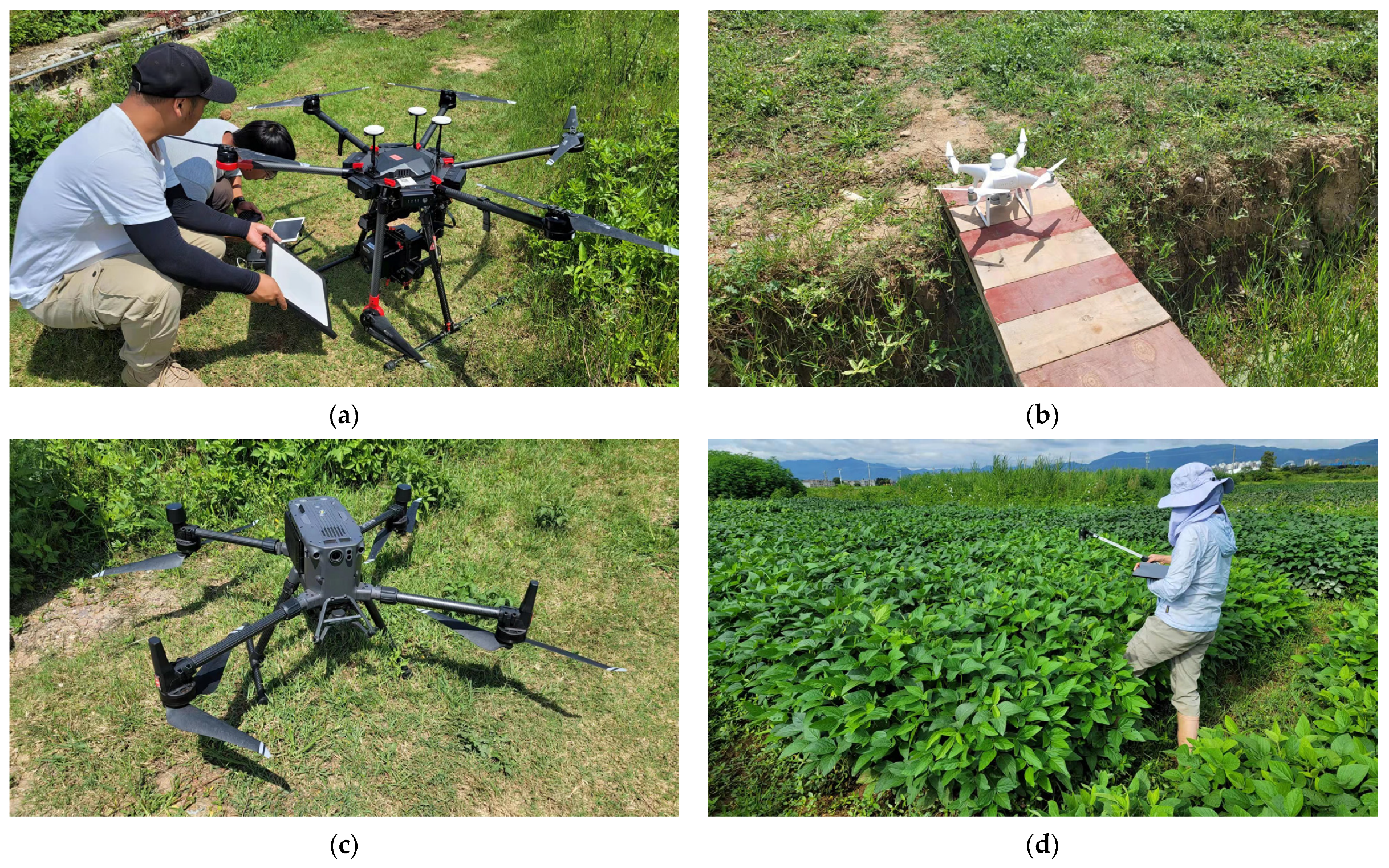 Remotesensing 15 00007 g002