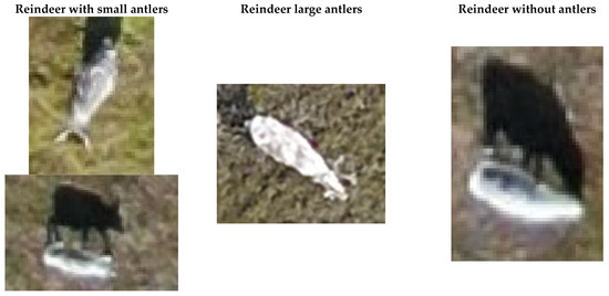 Remotesensing 15 00009 g0a4a