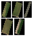 Remotesensing 15 00035 i009 Remotesensing 15 00035 i009