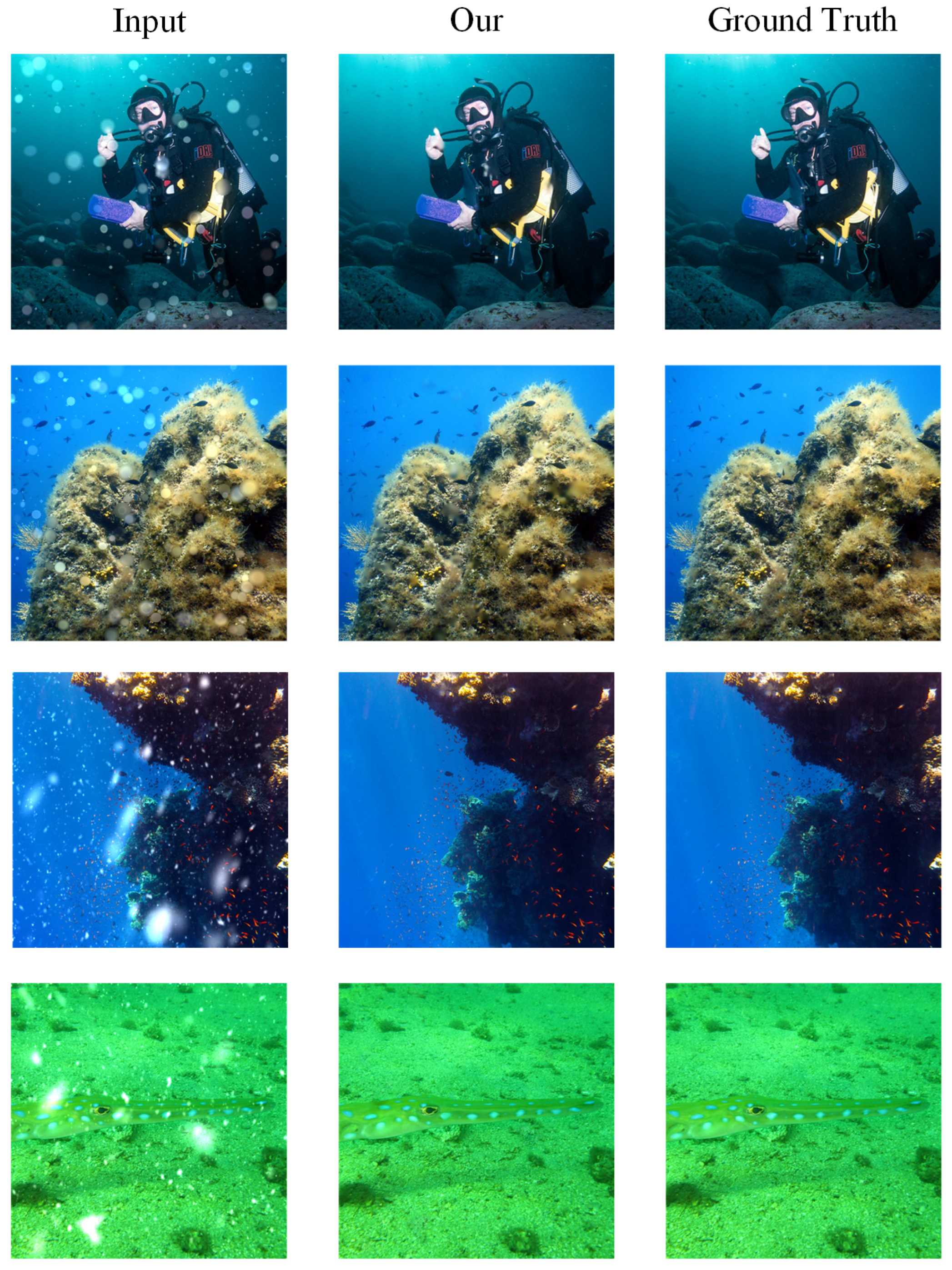 Remotesensing 15 00039 g005