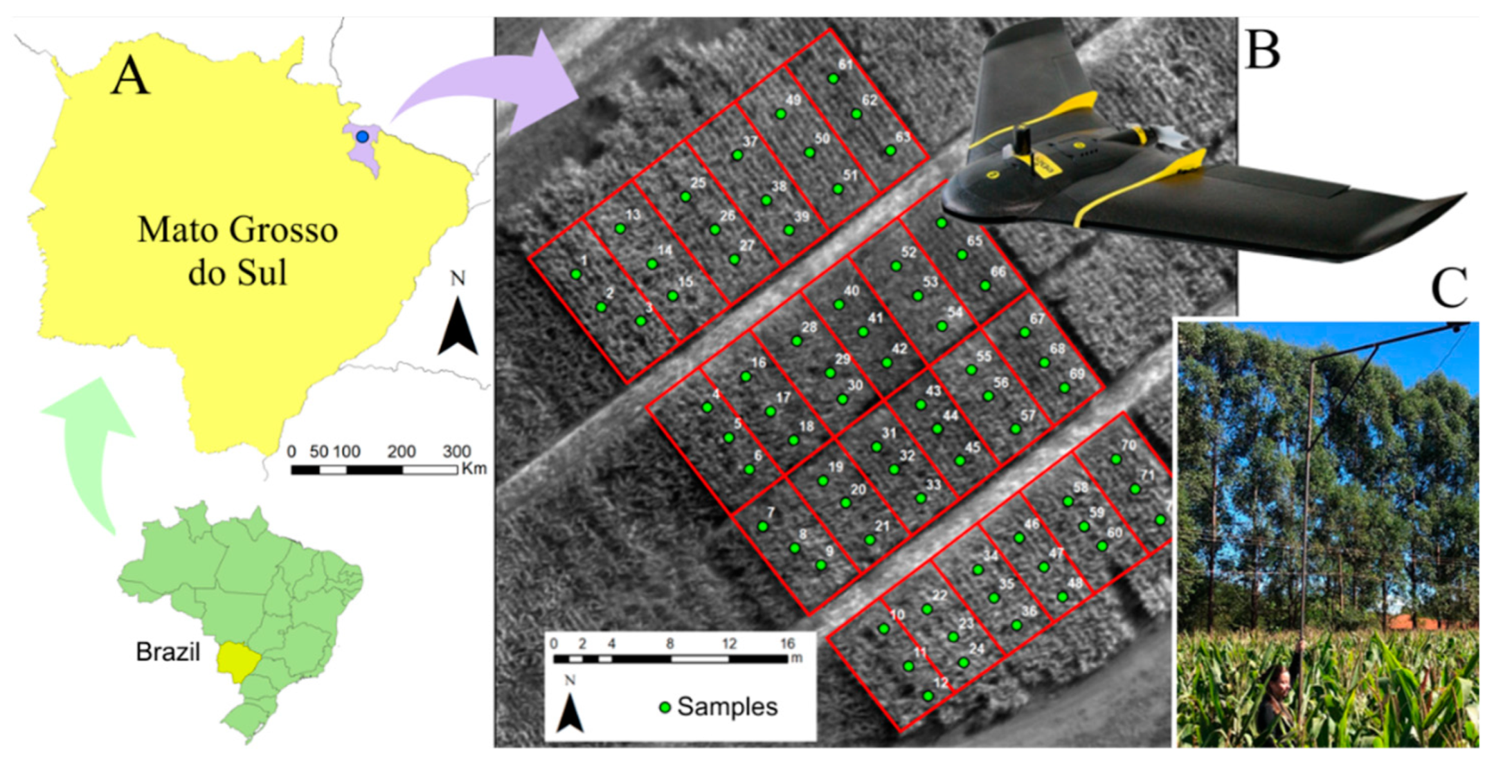 Remotesensing 15 00079 g001 Remotesensing 15 00079 g001