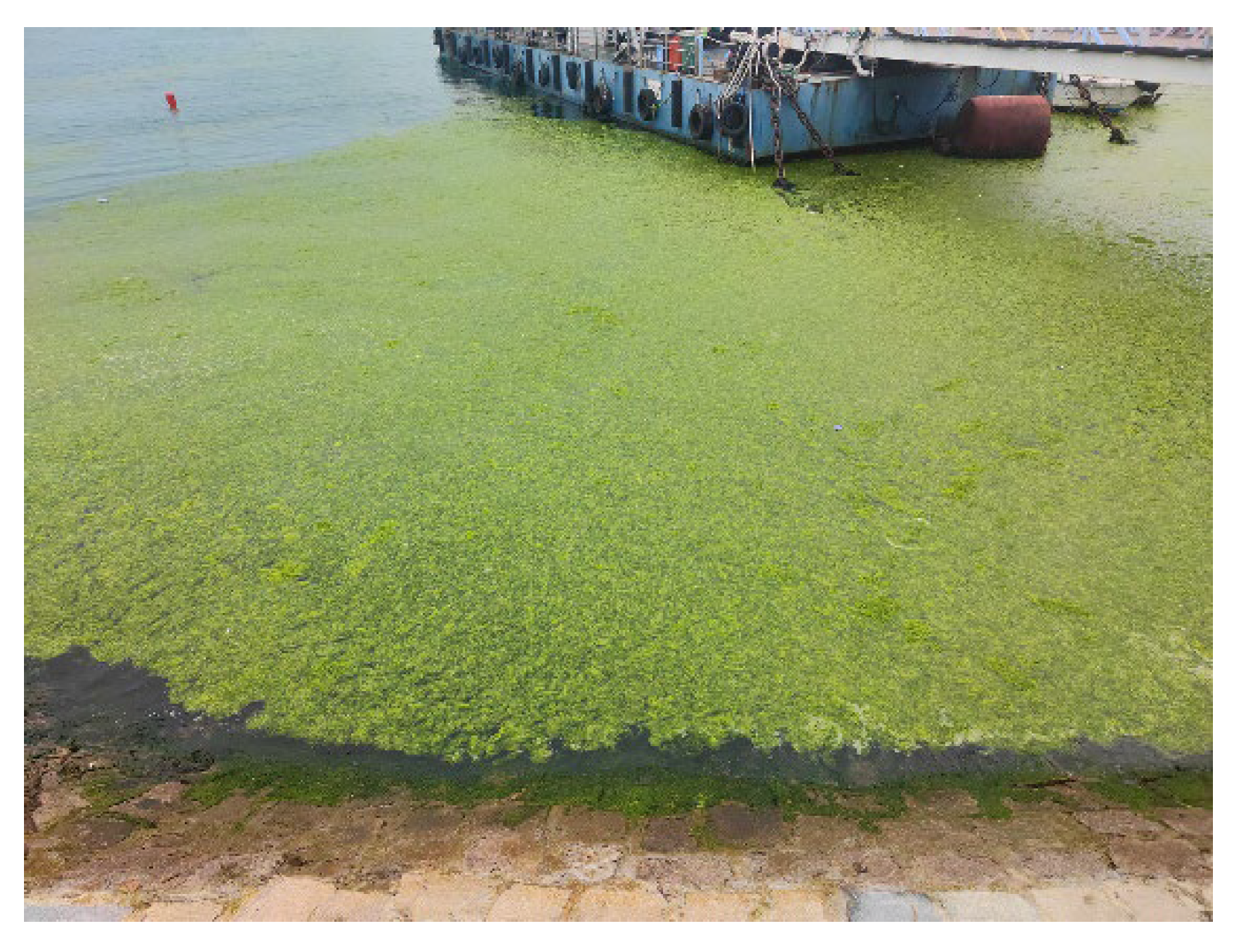 Remotesensing 15 00157 g001