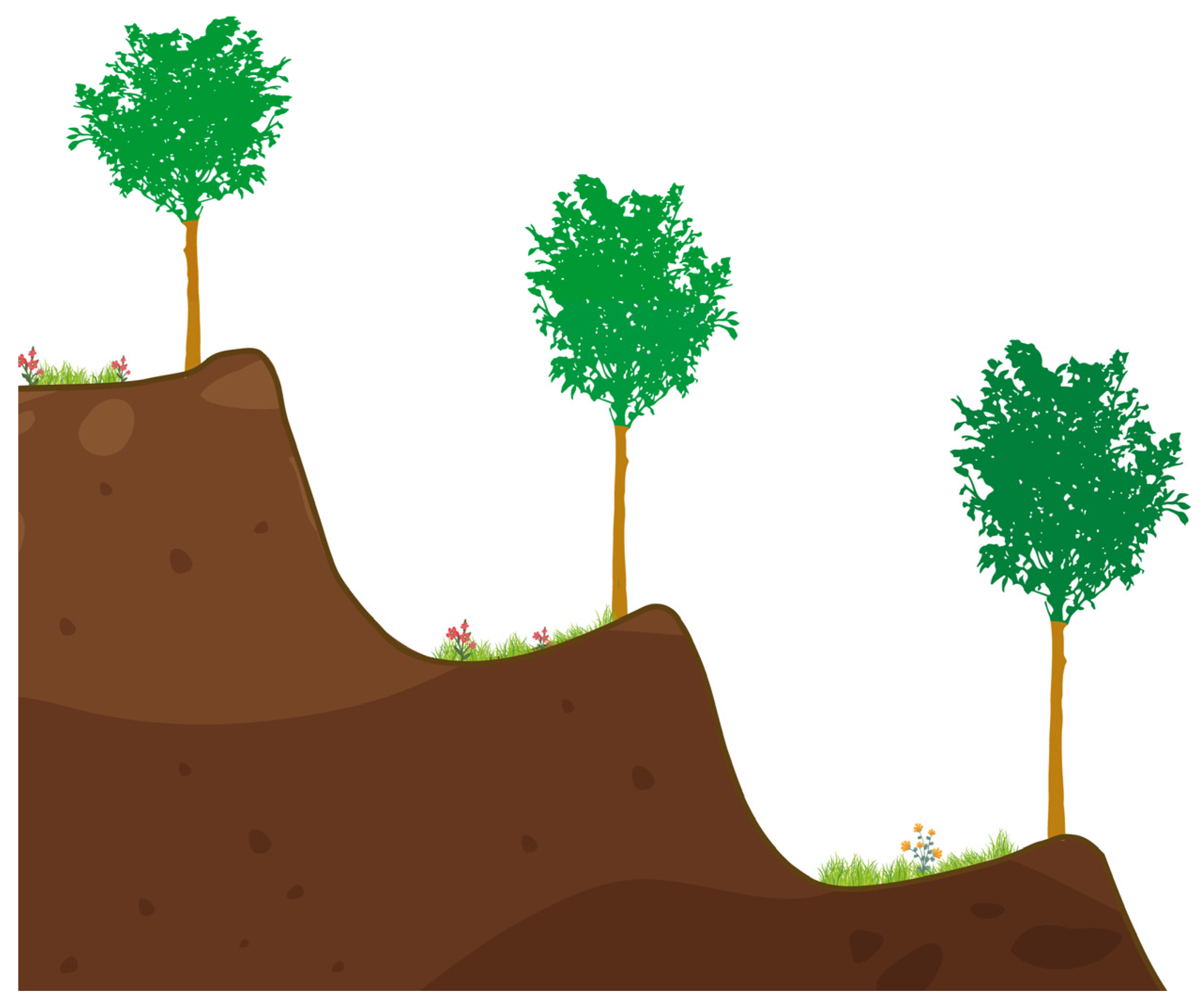 Remotesensing 15 00169 g002