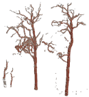 Remotesensing 15 00172 i006