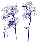 Remotesensing 15 00172 i007