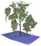 Remotesensing 15 00172 i009