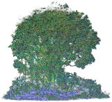 Remotesensing 15 00172 i029