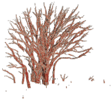 Remotesensing 15 00172 i030