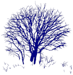 Remotesensing 15 00172 i031