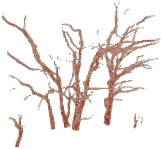 Remotesensing 15 00172 i034