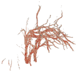 Remotesensing 15 00172 i038