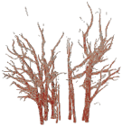 Remotesensing 15 00172 i046