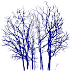 Remotesensing 15 00172 i047