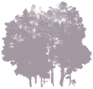 Remotesensing 15 00172 i048