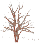 Remotesensing 15 00172 i050