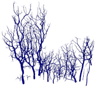 Remotesensing 15 00172 i061