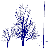 Remotesensing 15 00172 i063