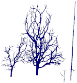 Remotesensing 15 00172 i064